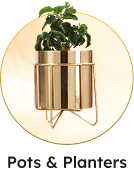 Flower Pot