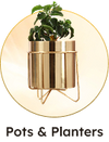 POTS