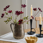 Burgundy Cosmos Stem