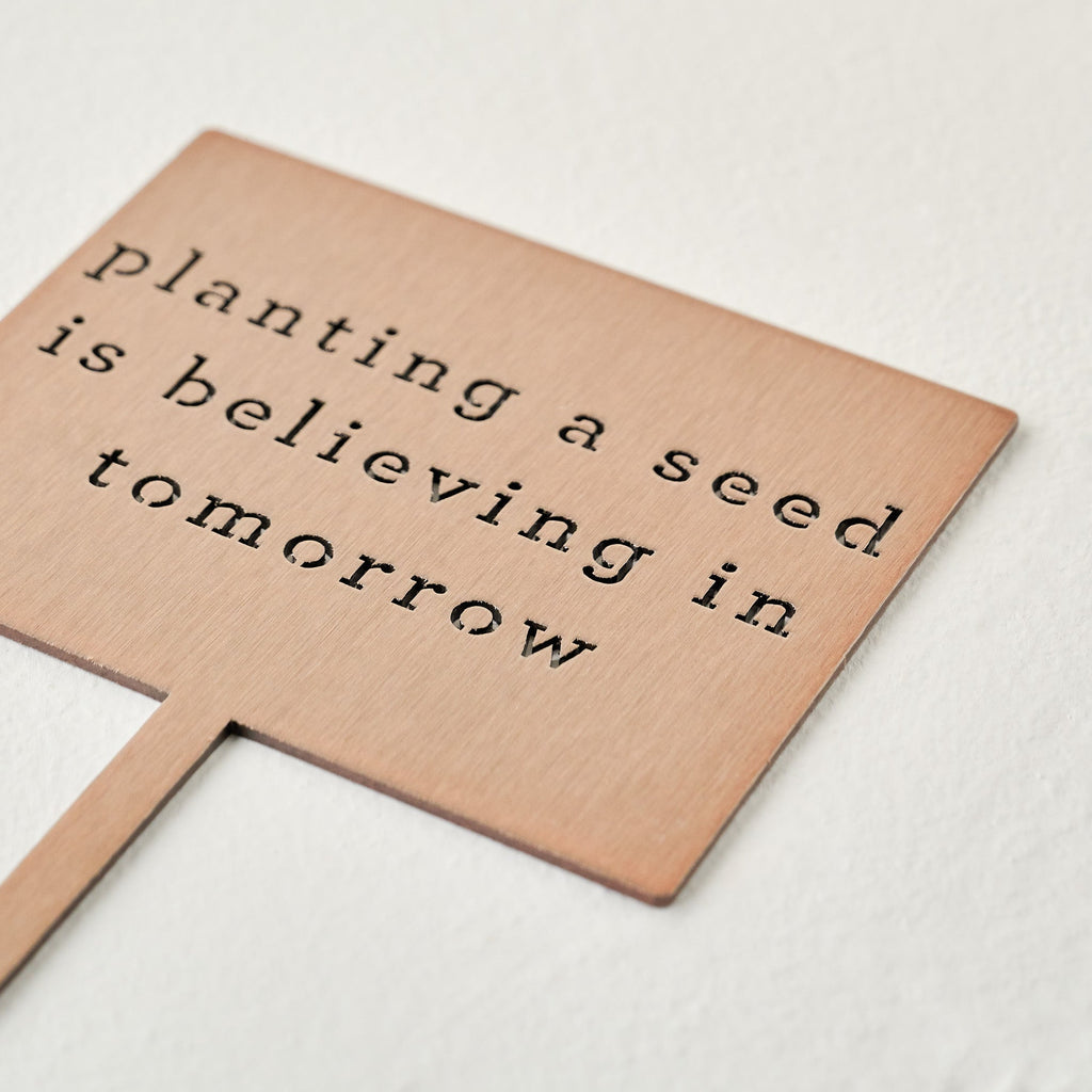 Planting A Seed Mini Garden Stake