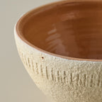 Rustic Terracotta Accent Bowl