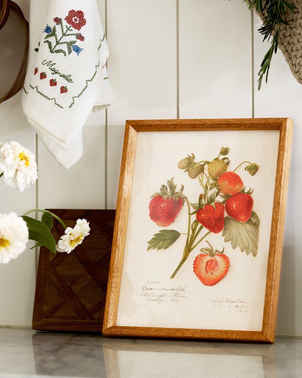 Fresh Strawberry Botanical Framed Print