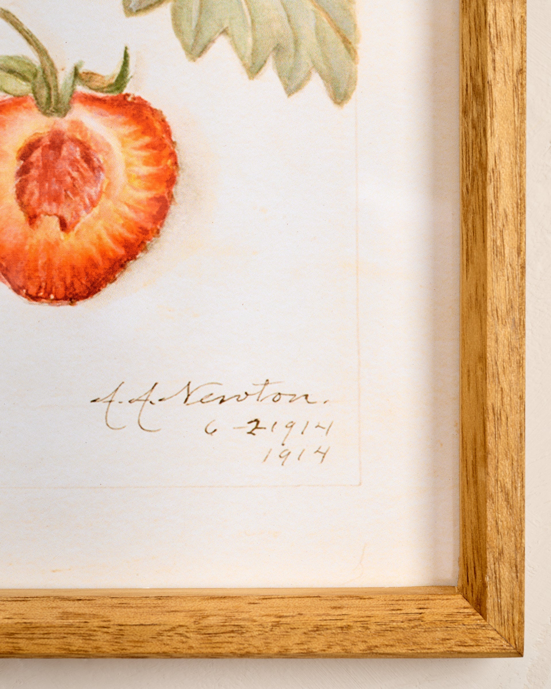 Fresh Strawberry Botanical Framed Print
